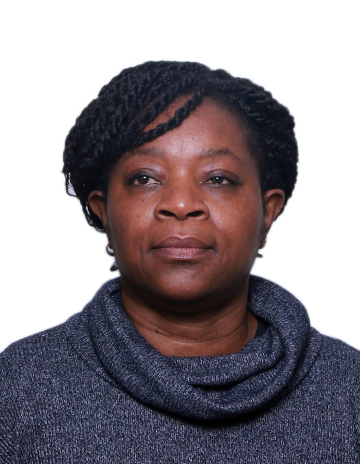 Madou Suzanne Manga
